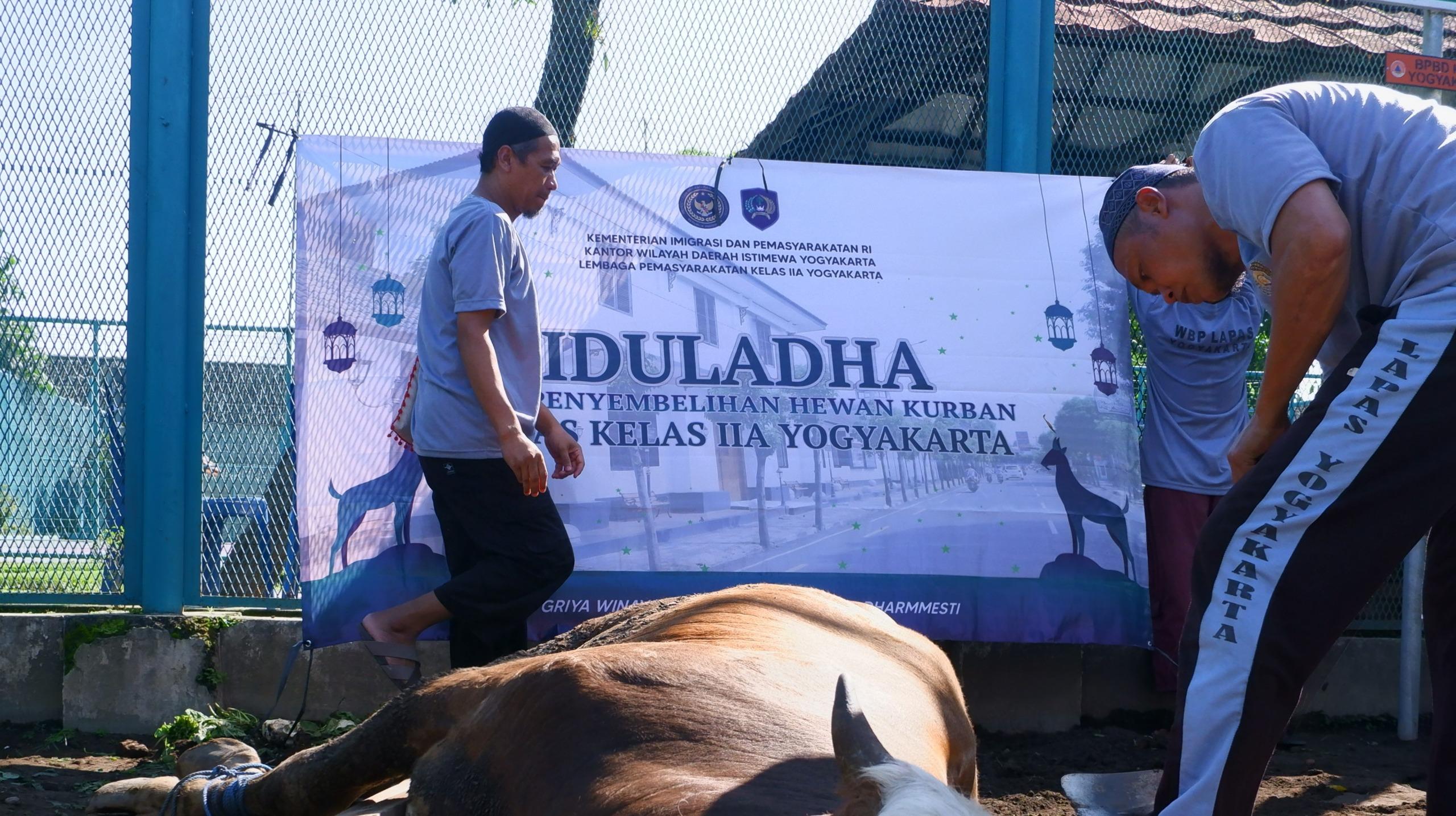 Lapas Yogyakarta Rayakan Iduladha dengan Sembelih 9 Hewan Kurban