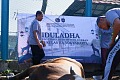 iduladha 1446 h 2